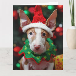 イビザンハウンド小妖精や小人子犬クリスマスカード カード