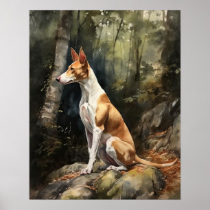 イビザン・ハウンド 犬 アート プリント ポスター