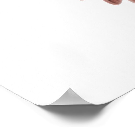 イビスの広がる翼 ポスター (角)