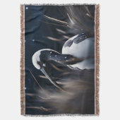 イビスアットミッドナイト スローブランケット (正面縦)