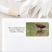 イビスインザポンズ ラベル (インサイチュ)