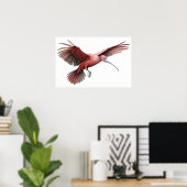 イビススプレッティングウィングスモール ポスター (ホームオフィス)