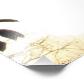 イビスバレエインフライトフォトプリント フォトプリント            (角)