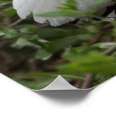 イビスバードポスター ポスター (角)