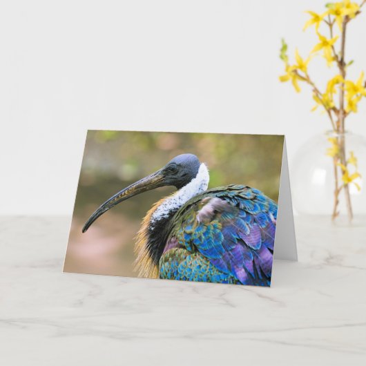 イビスバード カード (黄色い花)