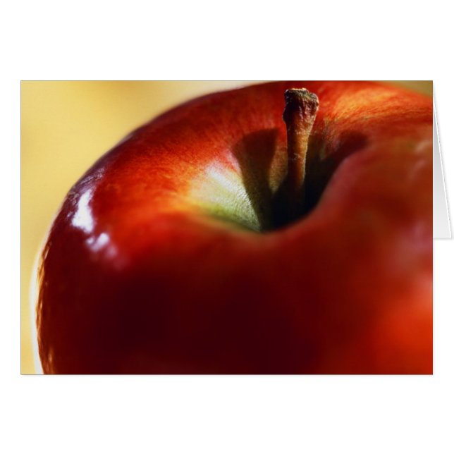 イブと始まる女性の主権 (正面横)