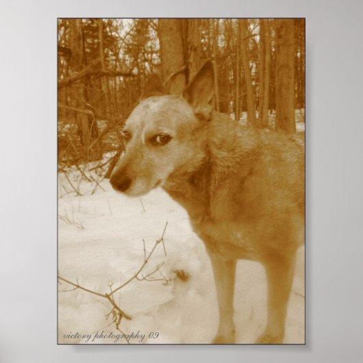 イブナルアイプリント ポスター (正面)