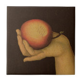 イブ1528年 タイル (正面)