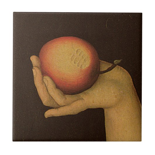 イブ1528年 タイル (正面)