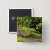 イプスウィッチ、マサチューセッツの農道 缶バッジ (正面&裏面)