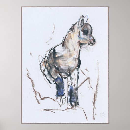 イベックス・キッド ポスター (正面)