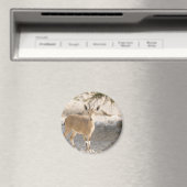 イベックス – ヤエル マグネット (インサイチュ (食洗機))