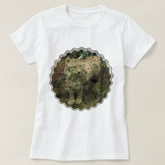 イベリアのオオヤマネコの女性Tシャツ Tシャツ (デザイン正面)