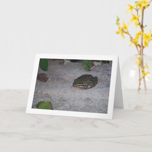 イベリアカエル カード (黄色い花)