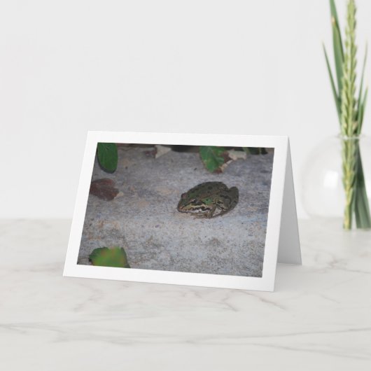 イベリアカエル カード (正面)