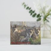 イベ救リアン・リンクス!!3 ポストカード (スタンド正面)