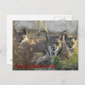 イベ救リアン・リンクス!!3 ポストカード (正面/裏面)