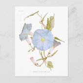 イポモア ポストカード (正面)