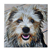 イマアル・テリアのグレン タイル (正面)