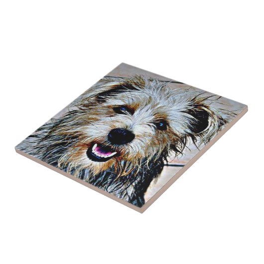 イマアル・テリアのグレン タイル (側面)