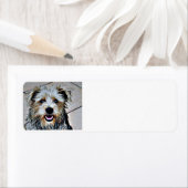 イマアル・テリアのグレン ラベル (インサイチュ)