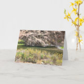 イマナ川、または カード (黄色い花)