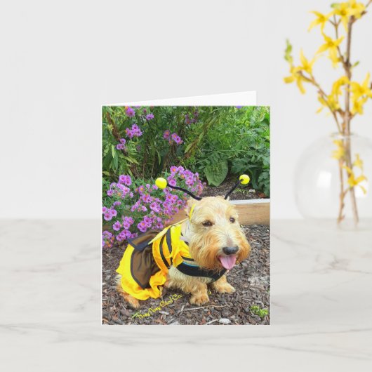 イマビー カード (黄色い花)