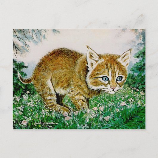 イマボブキティ ポストカード (正面)