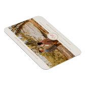 イマン柔軟 マグネット (右側)