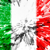 イム・イタリア Tシャツ