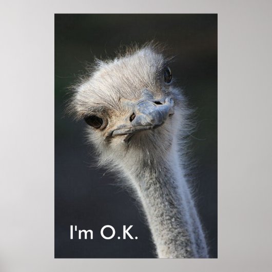 イム・オク ポスター (正面)