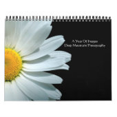 イメージの年 カレンダー (カバー)