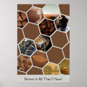 イメージヘキサゴンコラージュ – ブラウンは私が持っているすべてである! ポスター (正面)