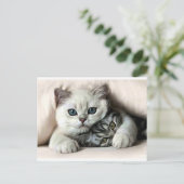 イメージ・デ・ガタ・エ・フィルホ ポストカード (スタンド正面)