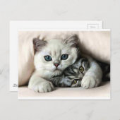 イメージ・デ・ガタ・エ・フィルホ ポストカード (正面/裏面)