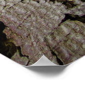 イヤポッドツリー ポスター (角)