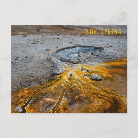 イヤー春イエローストーン国立公園 ポストカード (正面)