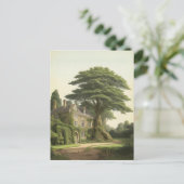 イュー・ツリー・バイ・イングリッシュ・カントリー・ハウス ポストカード (スタンド正面)