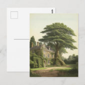 イュー・ツリー・バイ・イングリッシュ・カントリー・ハウス ポストカード (正面/裏面)