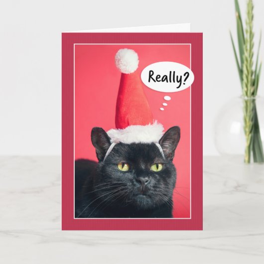 イラつく猫のクリスマス サンタ帽を被ったムカつく猫のユーモア シーズンカード (正面)