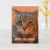 イライラした猫が元気になる カード (黄色い花)