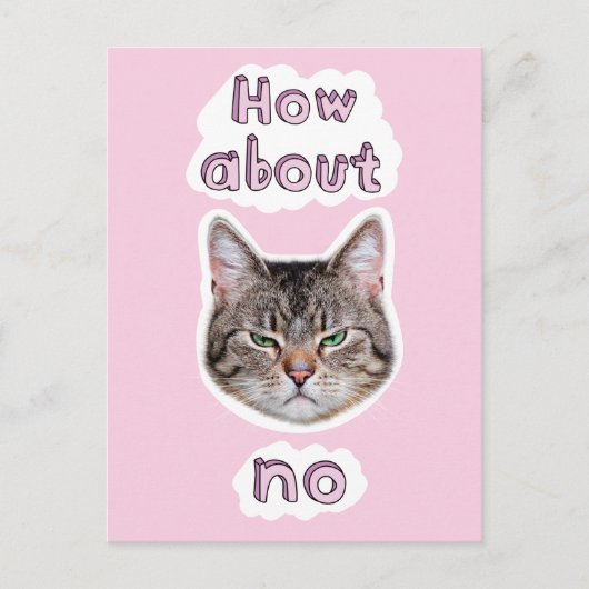 イライラした猫 インビテーションポストカード (正面)