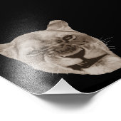 イライラした鳴き声のライオン猫 フォトプリント (角)