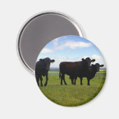 イライラ マグネット (正面/裏面)