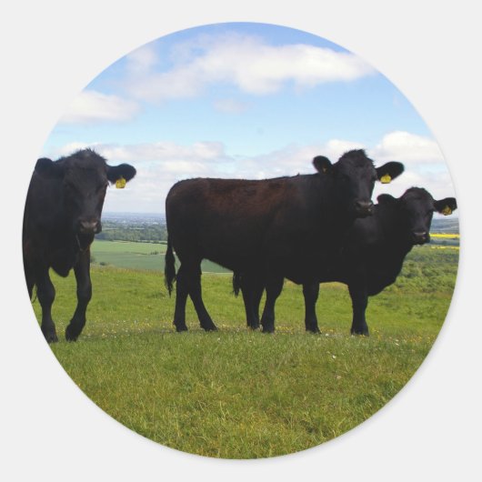 イライラ ラウンドシール (正面)