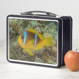 イラカラフルイラの赤海で泳ぐ魚 メタルランチボックス