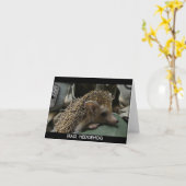 イラクのハリネズミのブランクのメッセージカード カード (黄色い花)