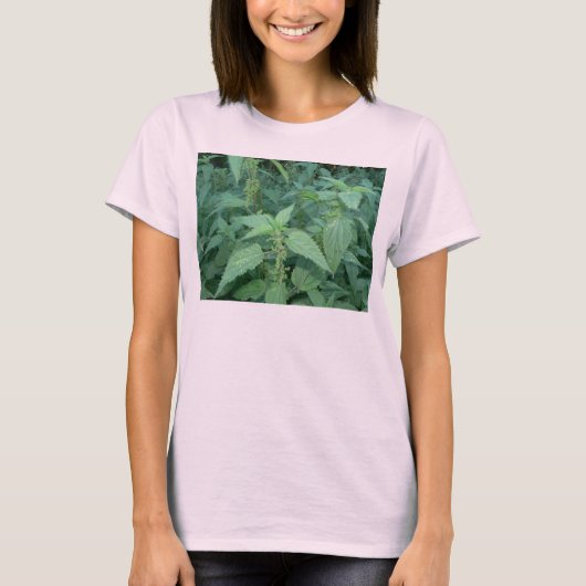 イラクサ Tシャツ (正面)