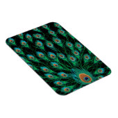 イラストレーションと孔雀の羽を黒 マグネット (右側)