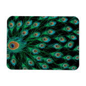 イラストレーションと孔雀の羽を黒 マグネット (横)